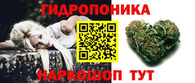 индика Свободный