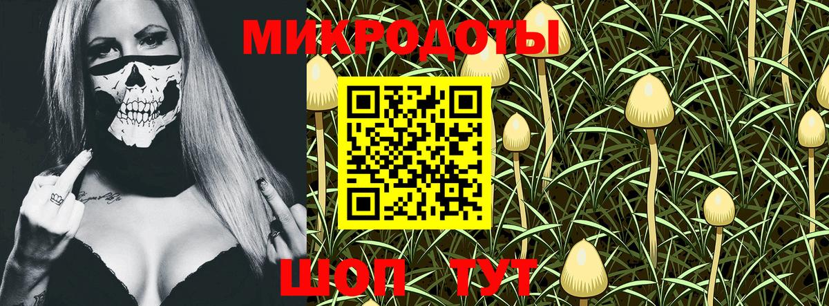 Новочеркасск  Псилоцибиновые грибы Cubensis  Вход с VPN  Галлюциногенные грибы Psilocybe 